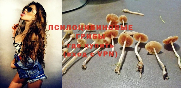 метадон Покачи
