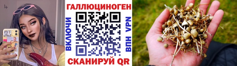 Псилоцибиновые грибы ЛСД  ОМГ ОМГ   Рошаль 